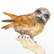 Demo painting of an owl by Paul Margocsy