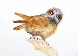 Demo painting of an owl by Paul Margocsy