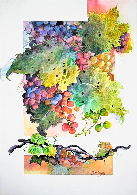 Julie Goldspink – Grape Delight – watercolour on paper Grape Delight, watercolour painting of grapes on the vine, by Julie Goldspink on Saunders Smooth 425 gsm watercolour paper