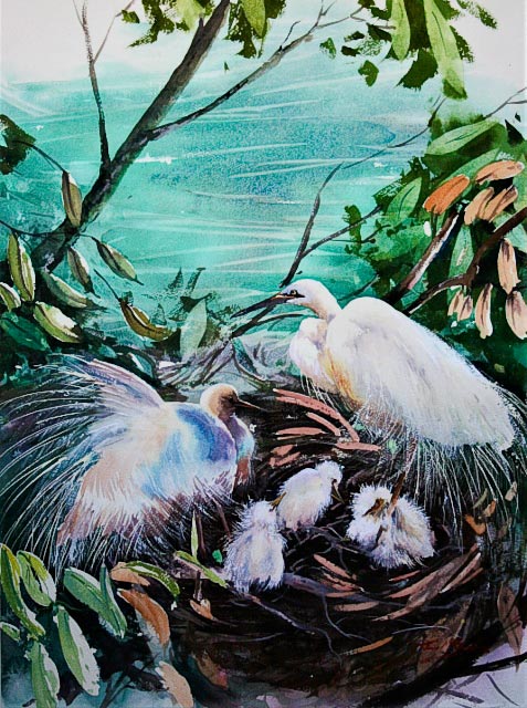 Julie Goldspink – Safe Haven – watercolour on paper Safe Haven, watercolour painting of nesting egrets, by Julie Goldspink on Arches Rough 300gsm watercolour paper