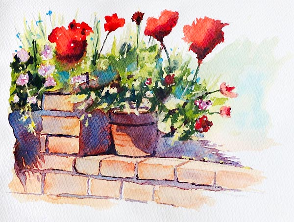 ‘My Geraniums’, watercolour class project byAllen 'My Geraniums', watercolour class project byAllen