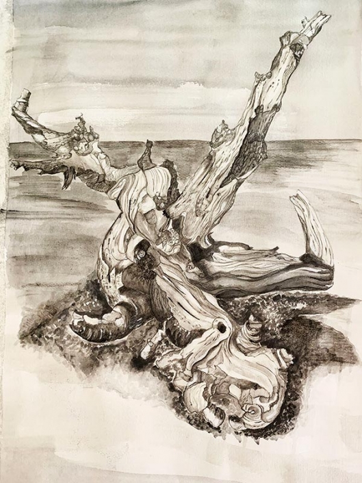 "Roots" - monochrome drawing of a gnarled fallen tree, by Maxine Pritchard