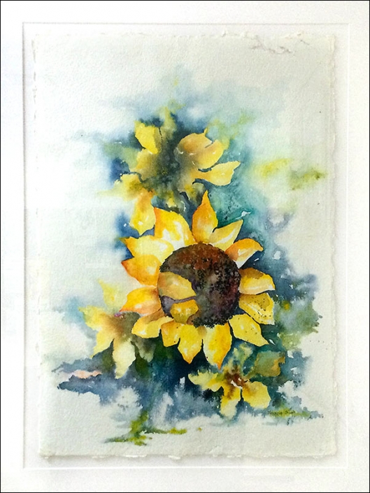 Watercolour painting by Maggie Bush Watercolour painting of a sunflower by Maggie Bush