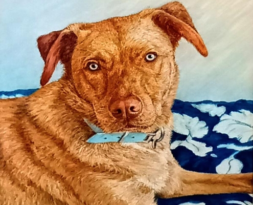Portrait of a brown dog lying on blue and white floral fabric by Margaret Rees
