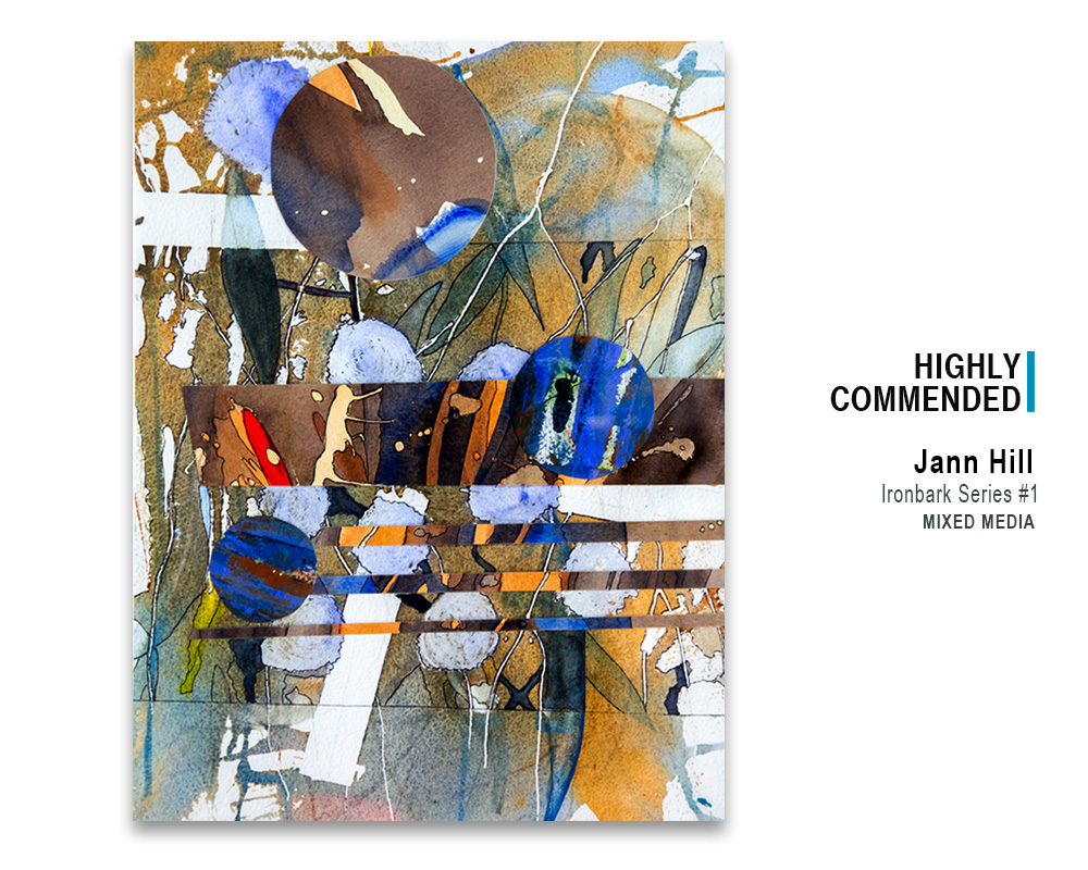 'Ironbark Series #1', mixed media by Jann Hill, winner Highly Commended, 2022 Spring Art Show