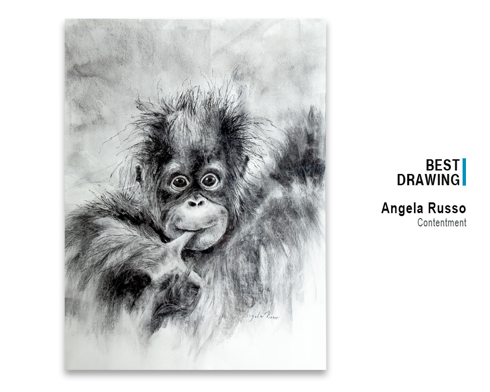 'Contentment', charcoal by Angela Russo, winner Best Drawing, 2022 Spring Art Show
