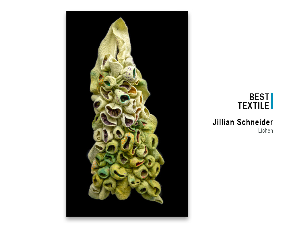 'Lichen', felt sculpture by Jillian Schneider, winner Best Textile in 2022 Spring Art Show