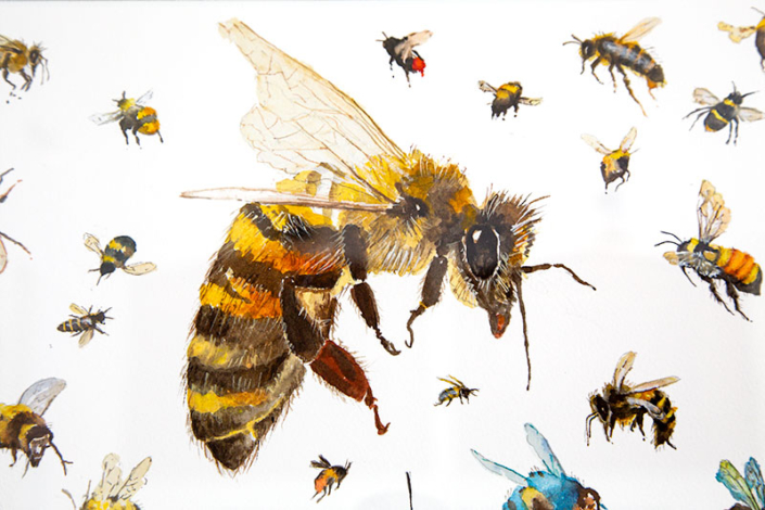 Detail from “Bees” – watercolour by JoanDenner Detail from "Bees" - watercolour by JoanDenner. Lots of different types of bees in flight.
