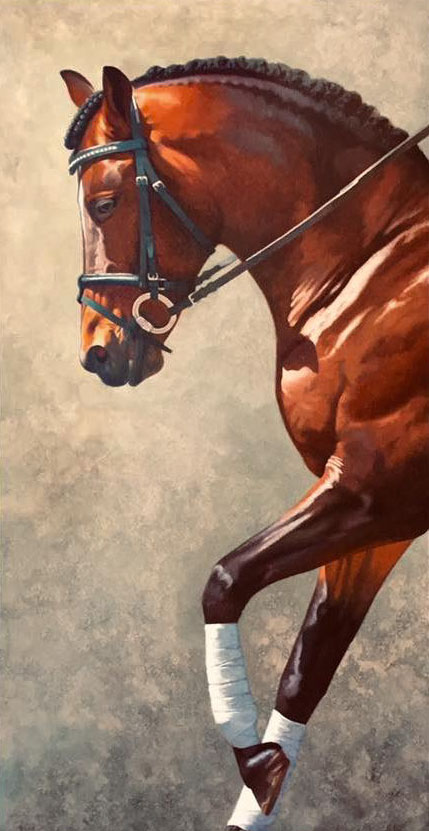 Beauty and Elegance – Oil on Canvas – Glenn Hoyle Beauty and Elegance - Oil painting on canvas of a side profile of the front half of a brown horse, by Glenn Hoyle
