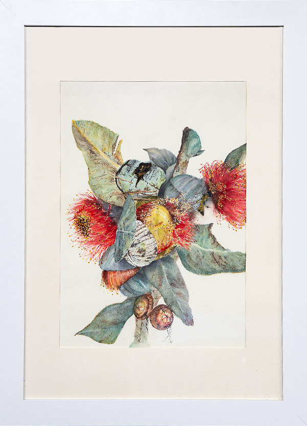 Australiana by Larry Gibson - Watercolour painting of gum leaves with red gum flowers. Third Prize, People's Choice, PAS Open Studio & Exhibition, 2024