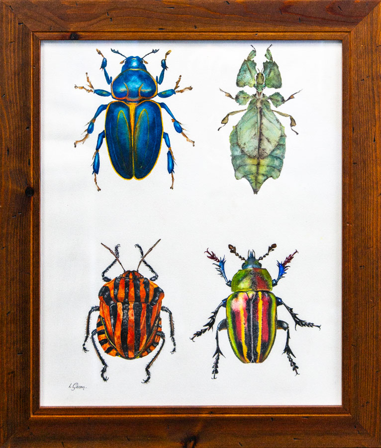Larry Gibson – Fab Four – Watercolour Larry Gibson - Fab Four - Watercolour of 4 beetle specimens.