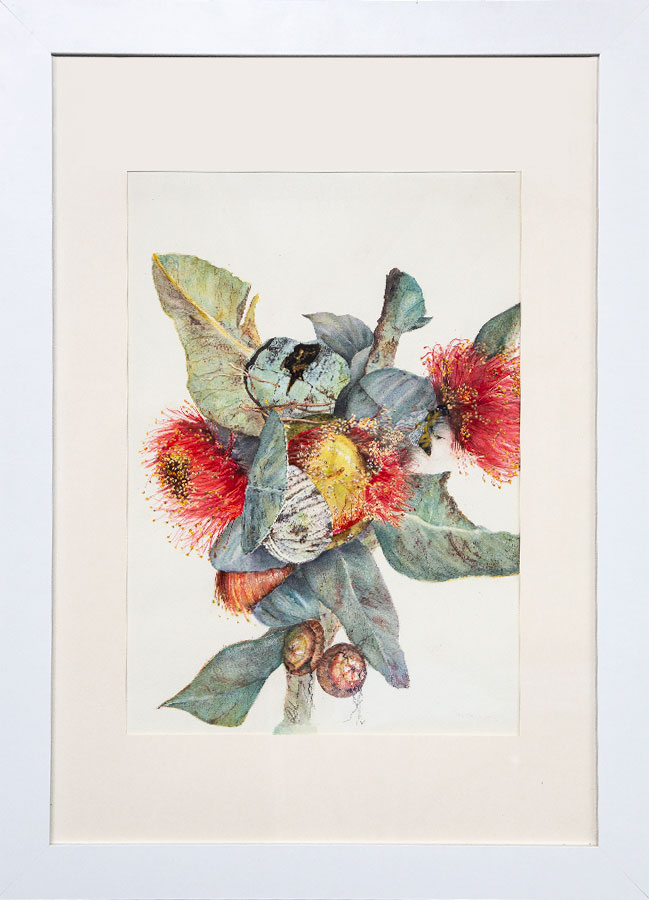 Australiana – Larry Gibson – Watercolour Australiana - Larry Gibson - Watercolour - red gum blossoms and gum leaves